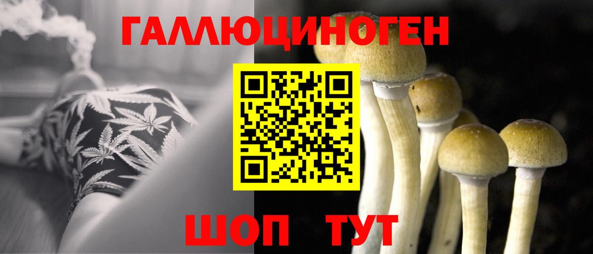 Галлюциногенные грибы MAGIC MUSHROOMS  Псилоцибиновые грибы Psilocybe  Вход с VPN  Новороссийск 